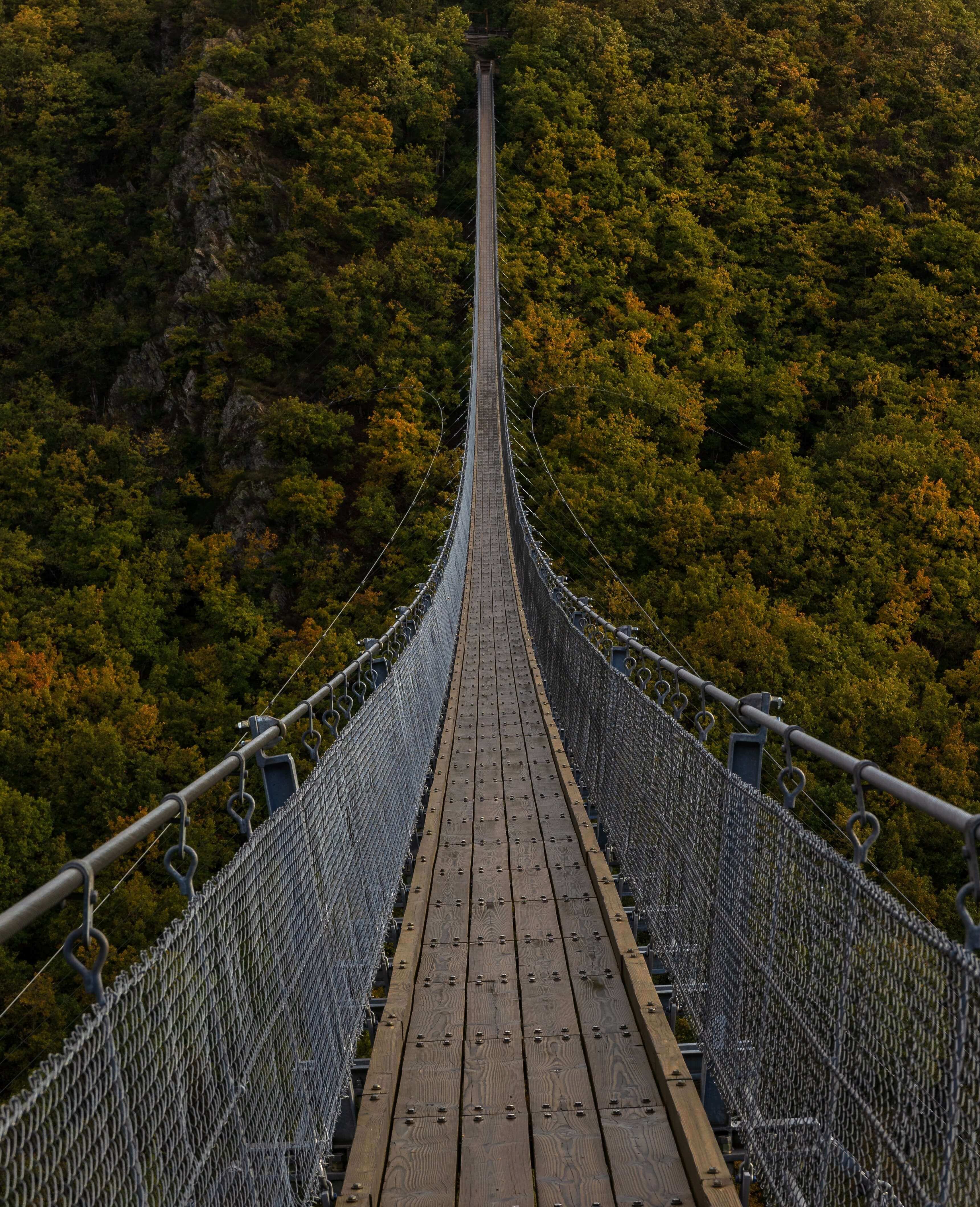 a very long bridge over the forest